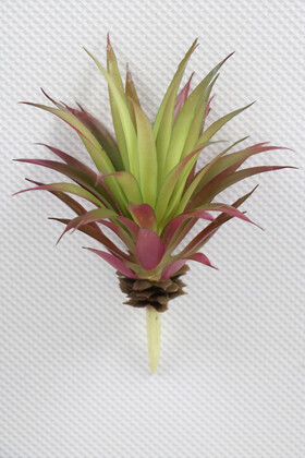 Yapay Succulent Sukulent Kaktüs Tillandsia Ionantha Fuşya Yeşil - Thumbnail