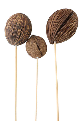 3 Boy Mintola Ball 40 cm Naturel - Yapay Çiçek Deposu