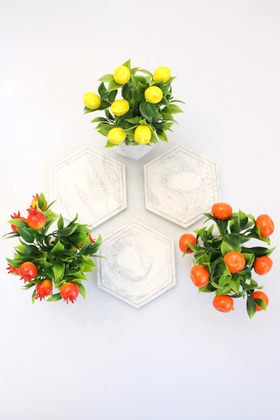 Geometrik Tepsili Mini Beton Saksıda Nar Limon Ve Mandalina 3lü Set - Thumbnail