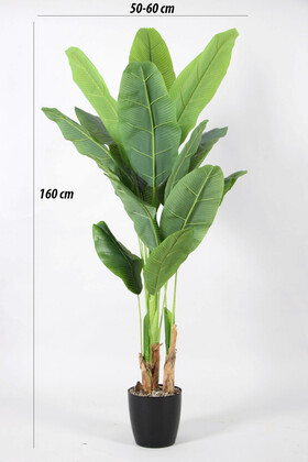 Yapay Muz Ağacı Gerçek Dokulu 13 Yapraklı 160 cm - 2