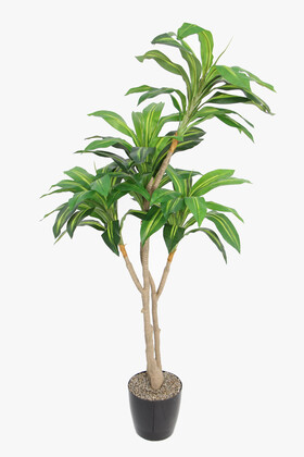 Yapay Ağaç Lüx 4 Gövdeli Cordyline 180 cm Yeşil-Sarı - Yapay Çiçek Deposu