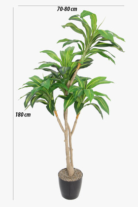 Yapay Ağaç Lüx 4 Gövdeli Cordyline 180 cm Yeşil-Sarı - 2