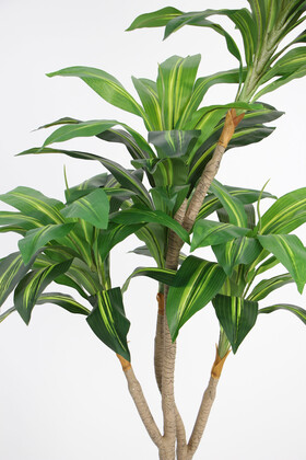 Yapay Ağaç Lüx 4 Gövdeli Cordyline 180 cm Yeşil-Sarı - 3