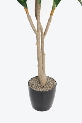 Yapay Ağaç Lüx 4 Gövdeli Cordyline 180 cm Yeşil-Sarı - 4