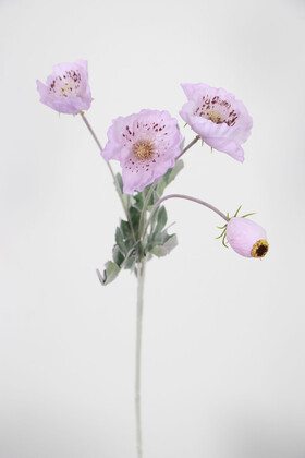 Yapay Çiçek Deposu - Yapay Çiçek Tozlu Lüx 4lü Gelincik Dalı 60 cm Lila