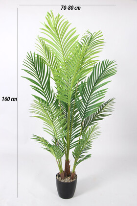 Yapay Areka Ağacı Gerçek Dokulu 15 Yapraklı 160 cm - 2