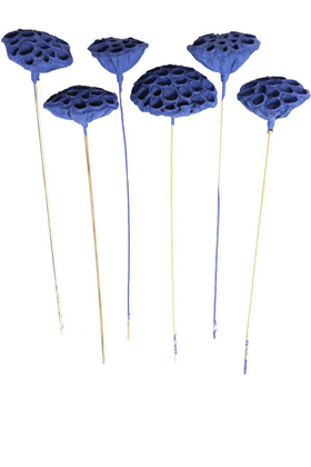 Yapay Çiçek Deposu - Succulent Lotus Plant Gerçek Lotus Çiçeği Bambu Saplı 6 Adet Saks Mavi