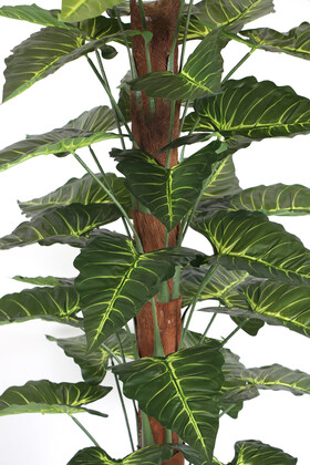 36 Yapraklı Yapay Giganteum Sekoya Ağacı 190 cm Yeşil Sarı (Ahşap Siyah Gold-Saksıda) - Thumbnail