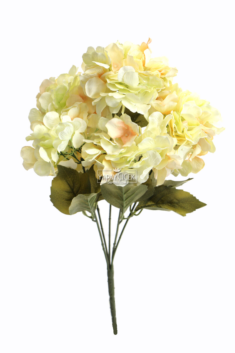 5 Dal Lux Pastel Ortanca Demeti Krem-somon