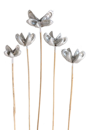 Tropic Bullet Flower Kuru Çiçek 5li Gümüş-Silver - Thumbnail