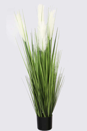 Yapay Çiçek Deposu - Yapay Beyaz Püsküllü Pampas Ağacı 110cm