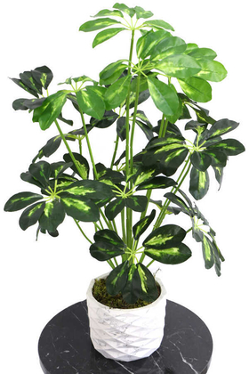 Yapay Çiçek Deposu - Yapay Beton Saksıda18 Dallı Lüx Şeflera Bitki 65cm (Schefflera) Açık Yeşil