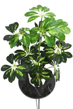 Yapay Beton Saksıda18 Dallı Lüx Şeflera Bitki 65cm (Schefflera) Açık Yeşil - Thumbnail
