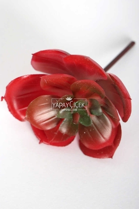Yapay Çiçek Deposu - Yapay Çiçek Islak Succulent Sukulent Echeveria Kırmızı