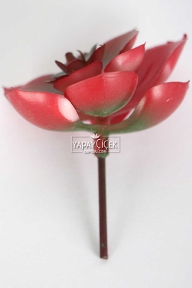Yapay Çiçek Islak Succulent Sukulent Echeveria Kırmızı - Thumbnail