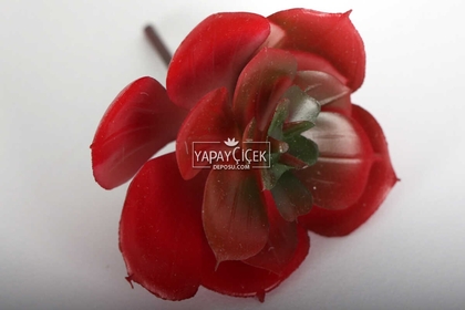 Yapay Çiçek Islak Succulent Sukulent Echeveria Kırmızı - Thumbnail