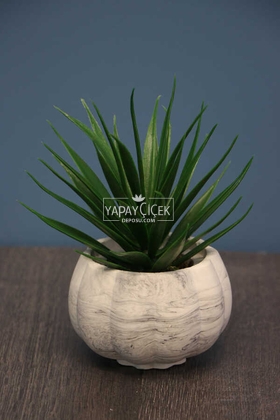 Yapay Çiçek Deposu - Succulentli Kabak Beton Saksı 20 cm