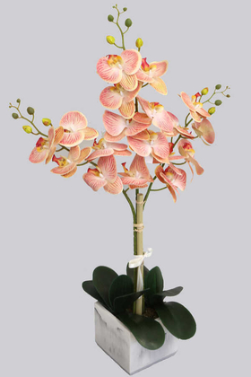 Mermer Görünümlü Beton Saksıda 3lü Yapay Orkide Tanzim Kavuniçi 80cm - Thumbnail
