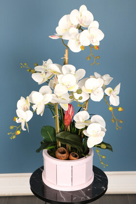 Yapay Çiçek Deposu - Oval Renkli Ahşap Saksıda 6 Dal Orkide Aranjmanı Kırık Beyaz