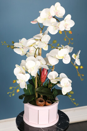 Oval Renkli Ahşap Saksıda 6 Dal Orkide Aranjmanı Kırık Beyaz - Thumbnail