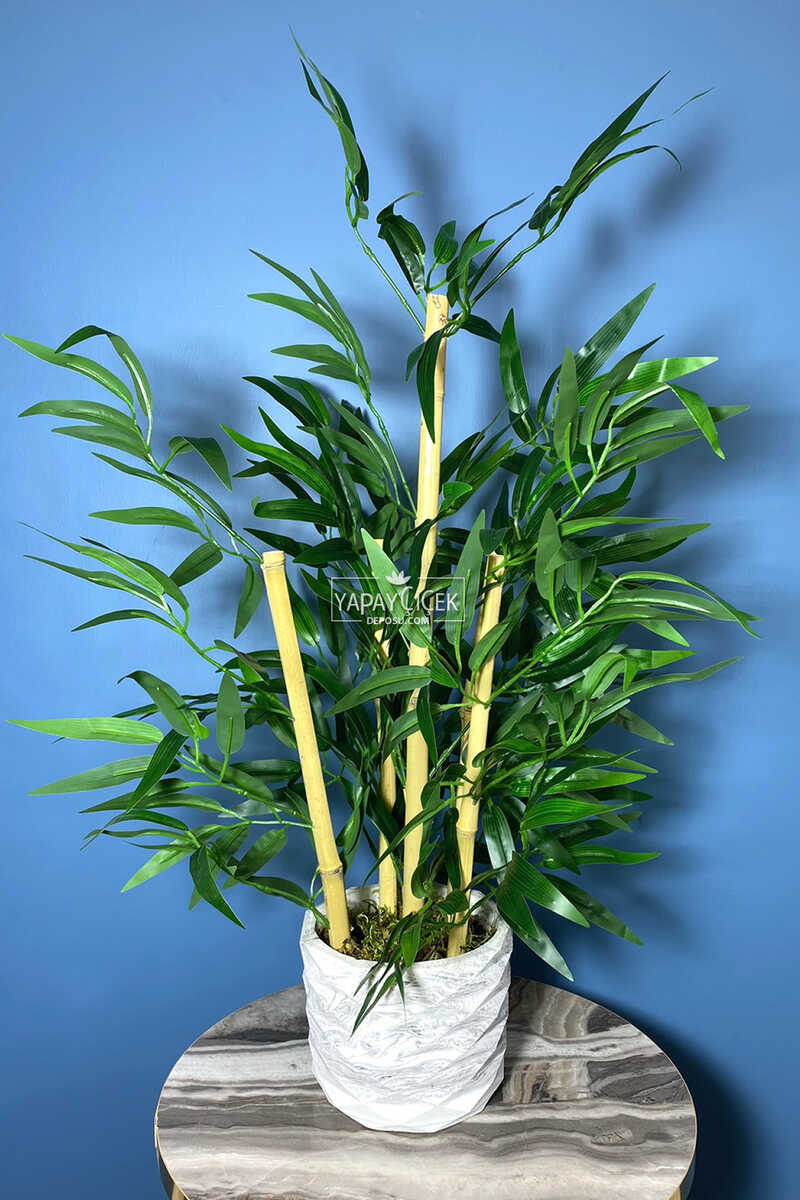 Beton Saksıda Bambu Ağacı Koyu Yeşil 65 cm (Yosunlu Model)