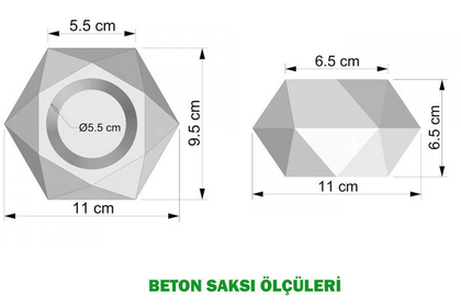 Dekoratif Geometrik Beton Saksıda Yeşillik Tanzimi 16cm Yeşil - Thumbnail