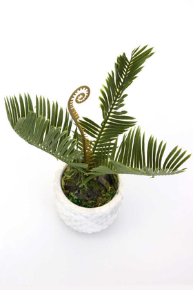 Handmade Saksıda Yapay Mini Ananas Bitkisi 20 cm - Thumbnail