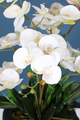 Dekoratif Ahşap Saksıda Orkide Tanzimi Beyaz - Thumbnail