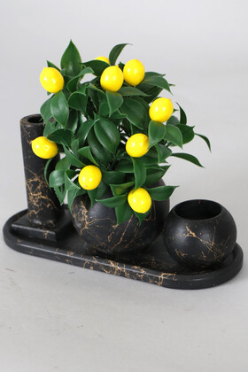 Mermer Desenli Tepsili Yapay Kuru Çiçek Tanzimi 3lü Set Model 14 - Thumbnail