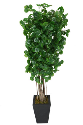 Yapay Çiçek Deposu - Yapay Şemsiye Ağacı Islak Dokulu Yeşil 180 cm Hydrocotyle Verticillata