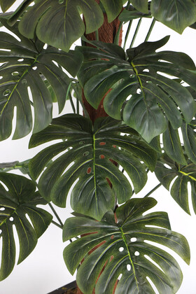36 Yapraklı Yapay Deve Tabanı Ağacı 190 cm (Ahşap Siyah Gold-Saksıda) - Thumbnail