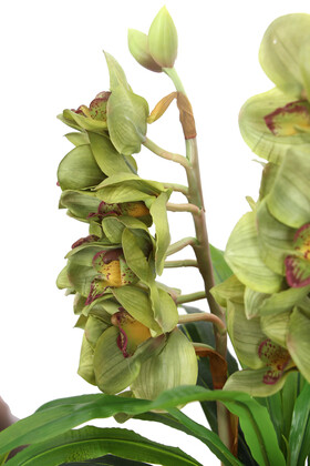 Vintage Kabartmalı Saksıda Yapay Islak Singapur Orkide 72 cm Koyu Yeşil - Thumbnail