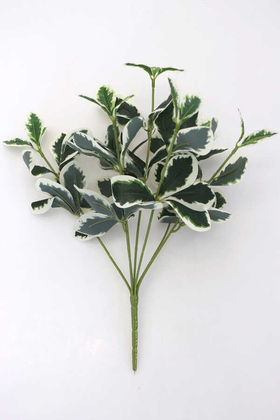 Yapay Çiçek Deposu - Yapay Büyük Islak Pitonya Bitkisi 40 cm Yeşil-Beyaz