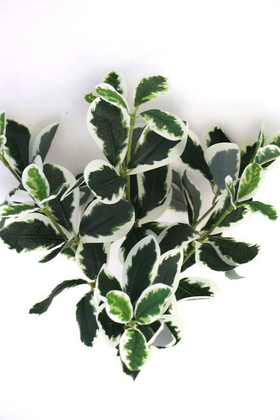 Yapay Büyük Islak Pitonya Bitkisi 40 cm Yeşil-Beyaz - Thumbnail