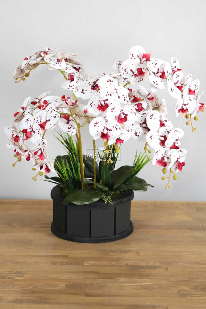 Dekoratif Ahşap Saksıda 7 Dal Orkide Tanzimi Bordo Benekli