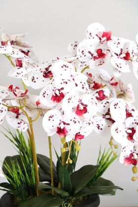 Dekoratif Ahşap Saksıda 7 Dal Orkide Tanzimi Bordo Benekli - Thumbnail