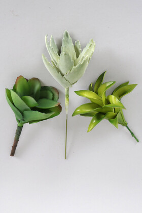 Yapay Succulent Sukulent Set - 12 - 1