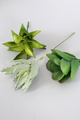 Yapay Succulent Sukulent Set - 12 - Thumbnail