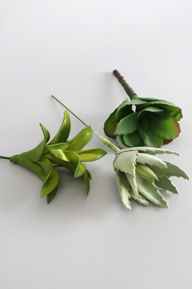 Yapay Succulent Sukulent Set - 12 - 3