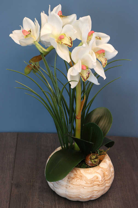 Yapay Tropikal Orkide Tanzimi Islak Dokuda Kahverengi Beton Saksılı Beyaz - Thumbnail