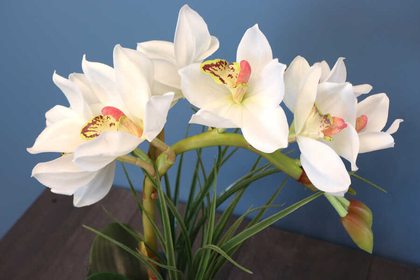 Yapay Tropikal Orkide Tanzimi Islak Dokuda Kahverengi Beton Saksılı Beyaz - Thumbnail