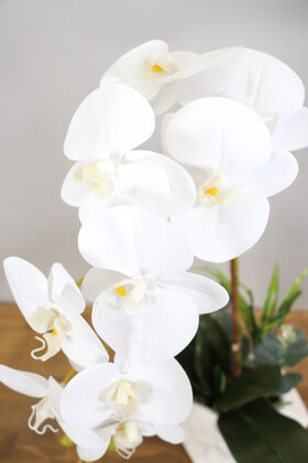 Beton Saksıda Yapay Baskılı Islak Orkide 55 cm Beyaz Sarı - Thumbnail