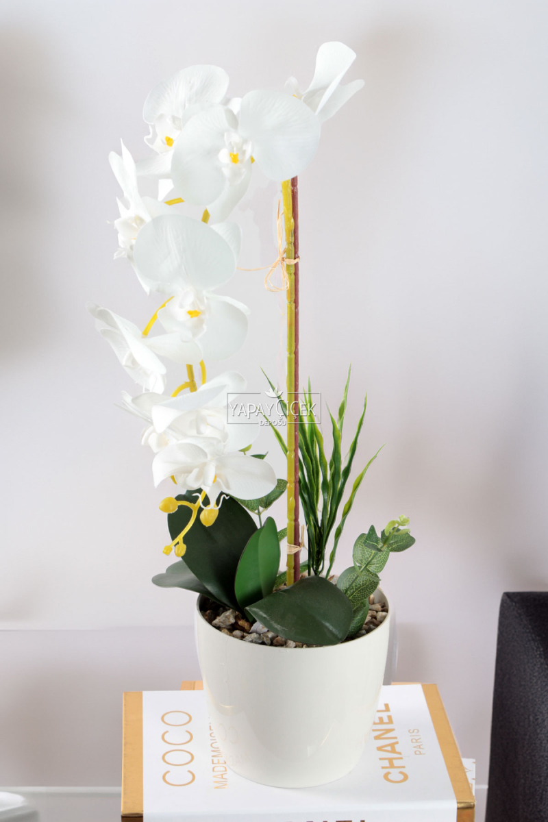 Saksıda Yapay Baskılı Islak Orkide 55 Cm Beyaz Sarı