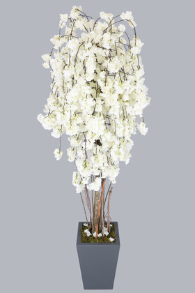 Yapay Çiçek Deposu - Jumbo Boy Lüks Sarkan Yapay Bahar Dalı Ağacı 200 cm Beyaz