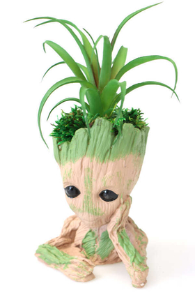 Yapay Çiçek Deposu - Succulentli Beton Groot Saksı Kahverengi