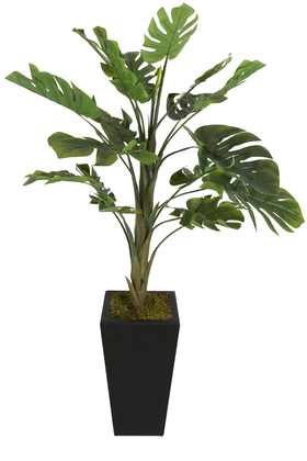 Yapay Çiçek Deposu - Kalın Gövdeli Yapay Deve Tabanı Ağacı 170 cm ( Monstera Deliciosa)