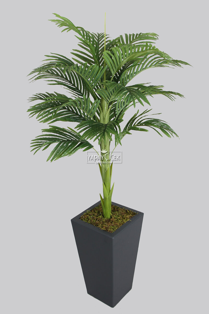 Ahşap Saksıda Tek Gövdeli Yapay Areka Palmiye Ağacı 180 cm (16 Yapraklı)