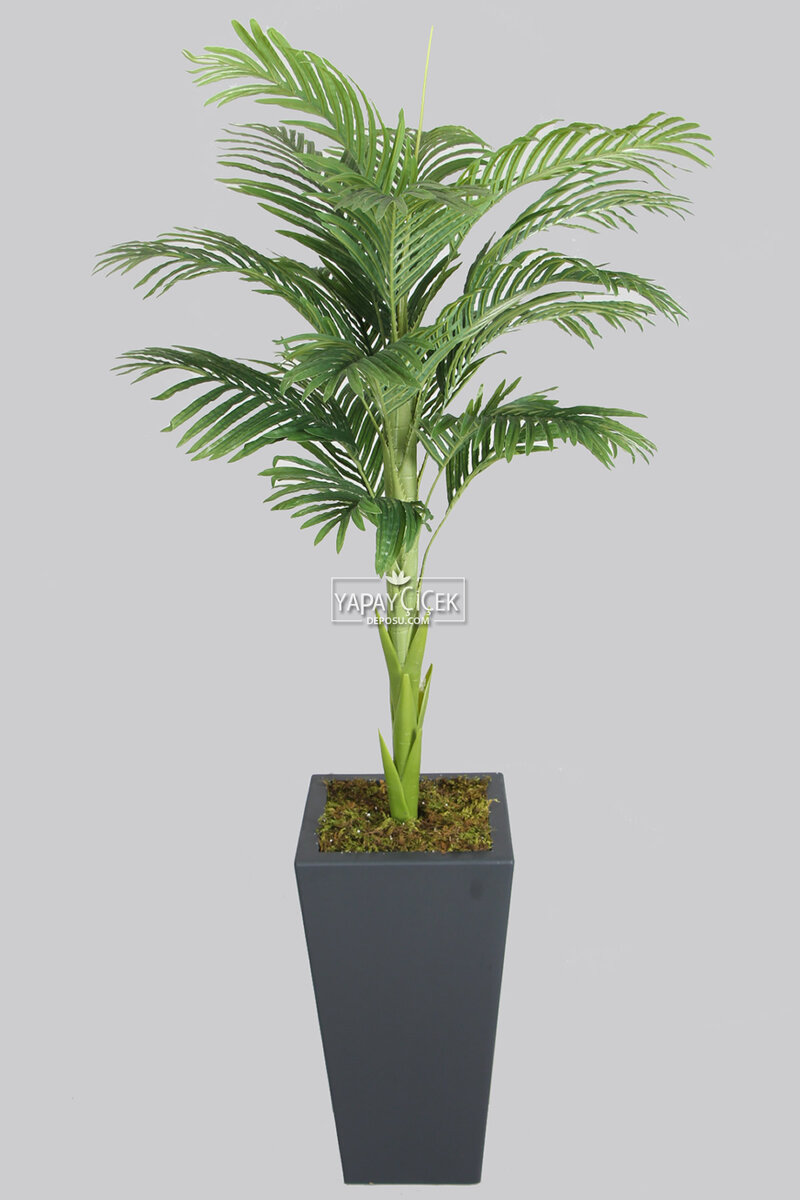 Ahşap Saksıda Tek Gövdeli Yapay Areka Palmiye Ağacı 180 cm (16 Yapraklı)