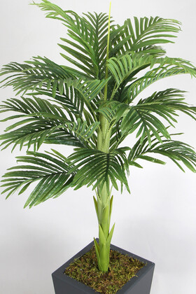 Ahşap Saksıda Tek Gövdeli Yapay Areka Palmiye Ağacı 180 cm (16 Yapraklı) - Thumbnail