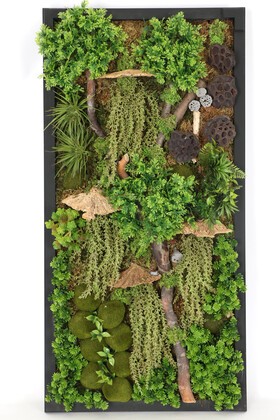 Yapay Çiçek Deposu - Ahşap Panoda Bitki Duvar Sukulent Bahçesi Tablo 50 cm x 100 cm